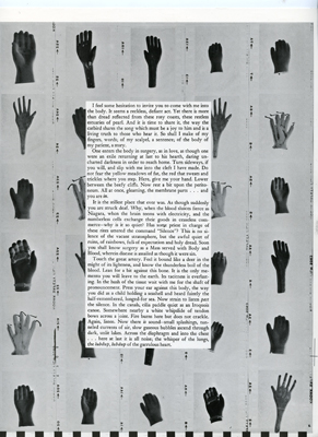 22p22Hand collage